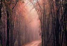 炒股怎么加杠杆资金:专业炒股配资咨询-A股突发异动！超4000股下跌 原因找到了！